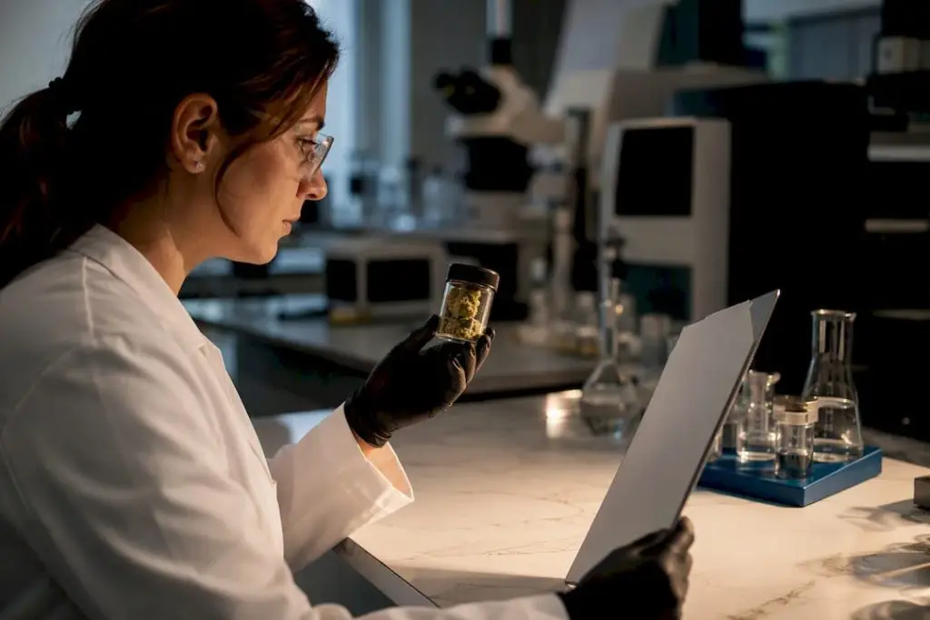 Technician reviewing cannabis lab sample records
